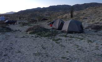 Susan V.'s photo at Arroyo Salado Primitive Campground — Anza-Borrego Desert State Park near Borrego Springs, CA