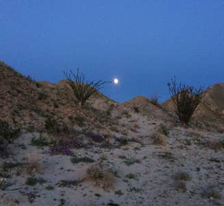 Camper-submitted photo from Yaqui Well Primitive Campground — Anza-Borrego Desert State Park
