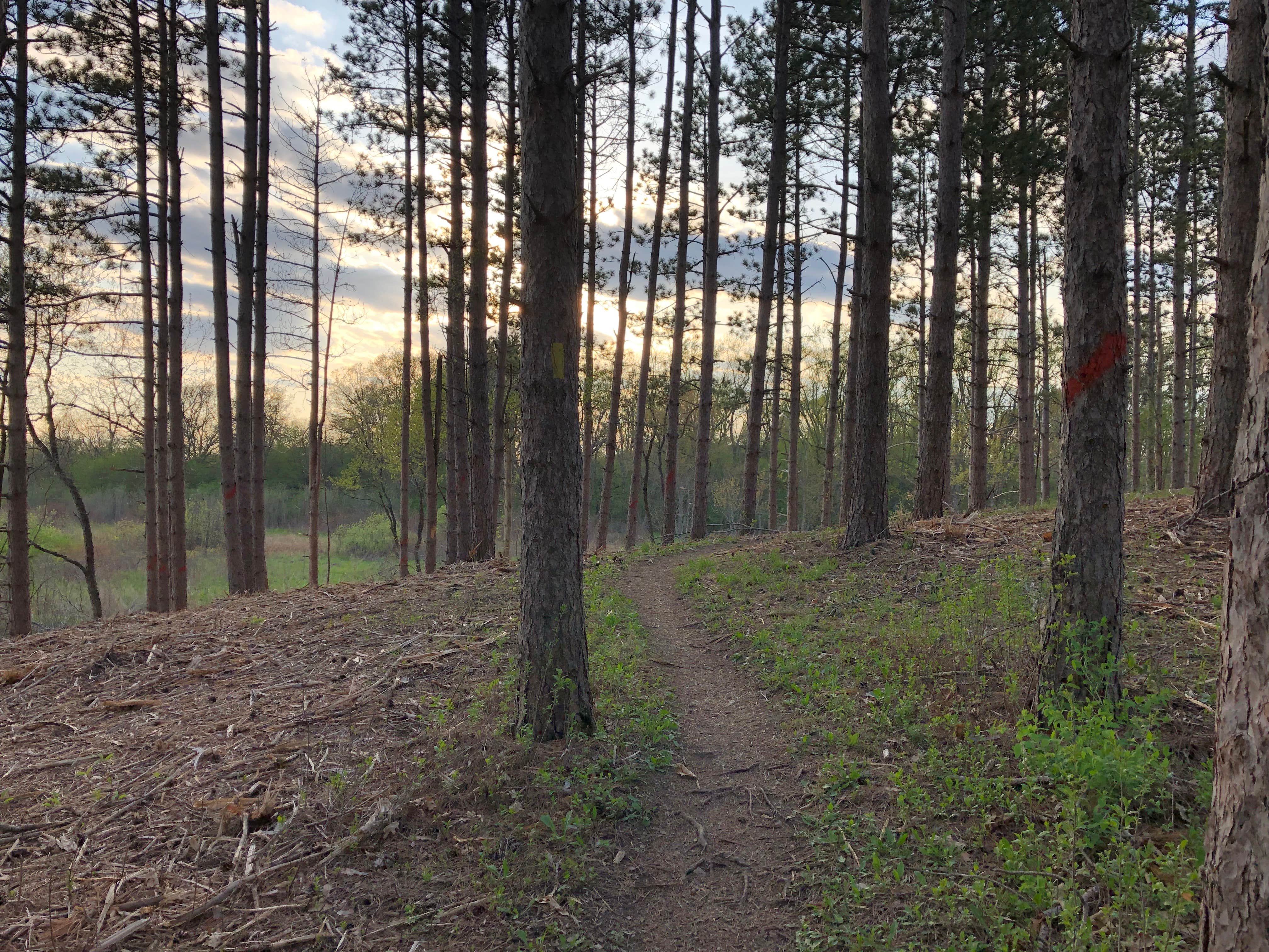 Camper submitted image from Kettle Moraine Southern Unit — Kettle Moraine State Forest-Southern Unit - 5