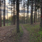 Review photo of Kettle Moraine Southern Unit — Kettle Moraine State Forest-Southern Unit by Andrew S., May 29, 2019