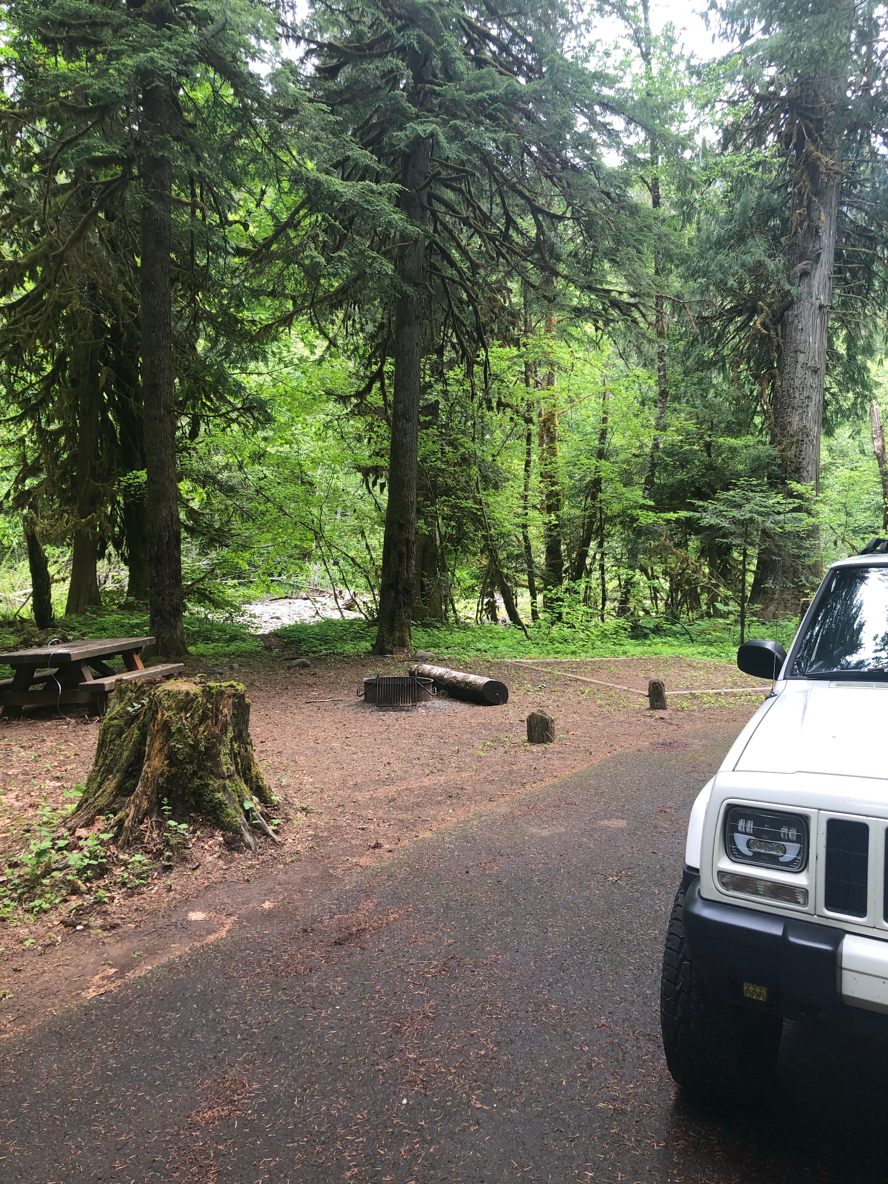 Camper submitted image from Paradise Creek Campground - 5