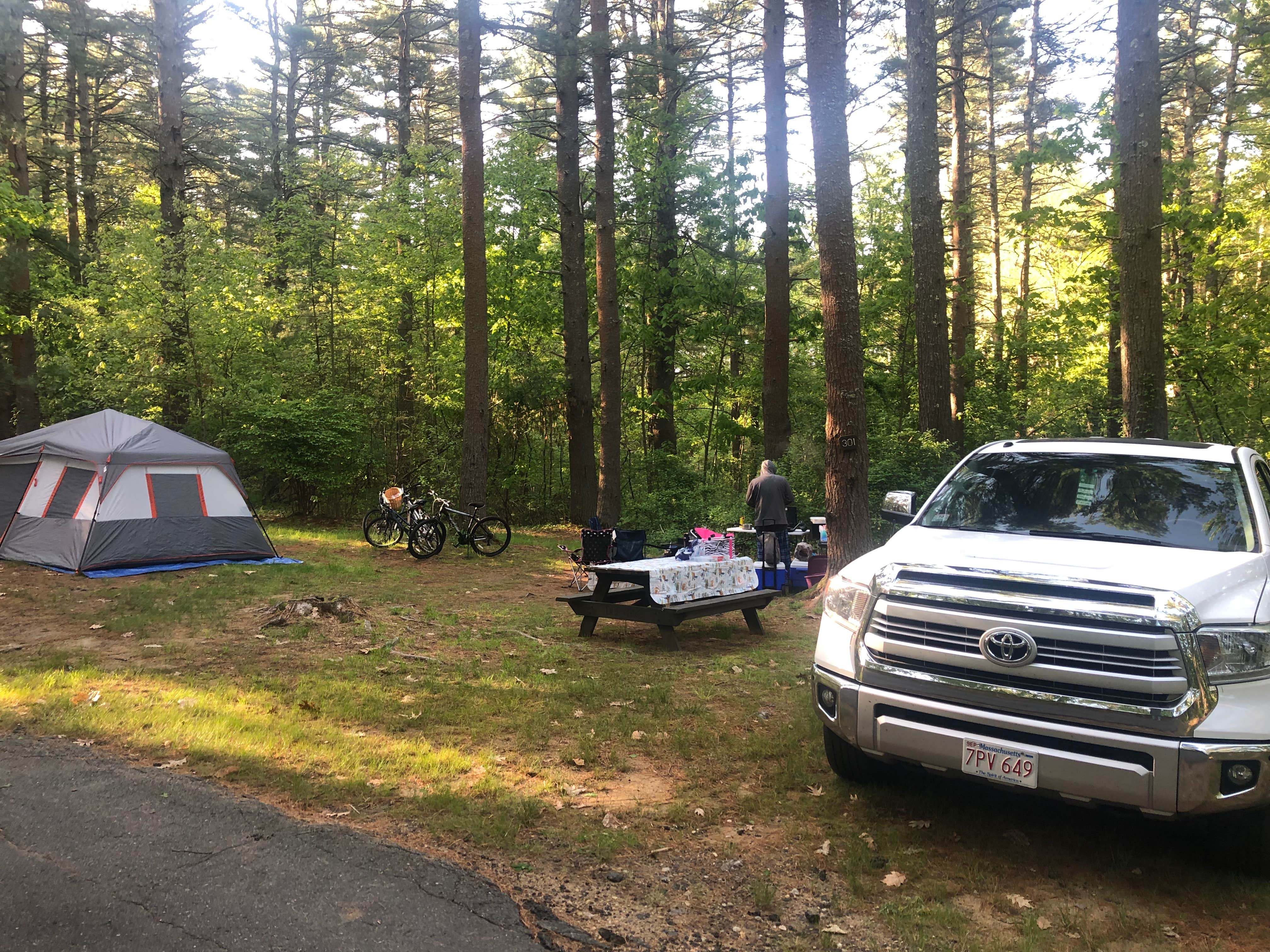 Migdalia G.'s photo at Lorraine Park Campground — Harold Parker State Forest near Medford, MA