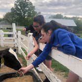 Review photo of Lorraine Park Campground — Harold Parker State Forest by Migdalia G., May 29, 2019