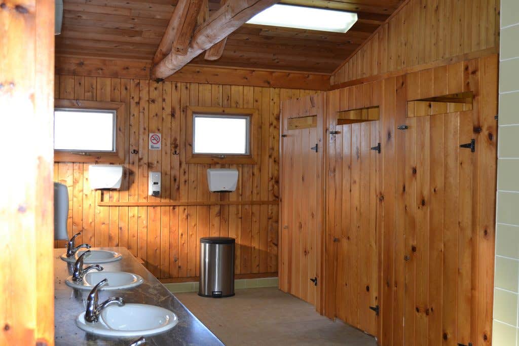 Camping near Ontonagon Township Park and Campground: Union River Big Bear Campground, White Pine, Michigan