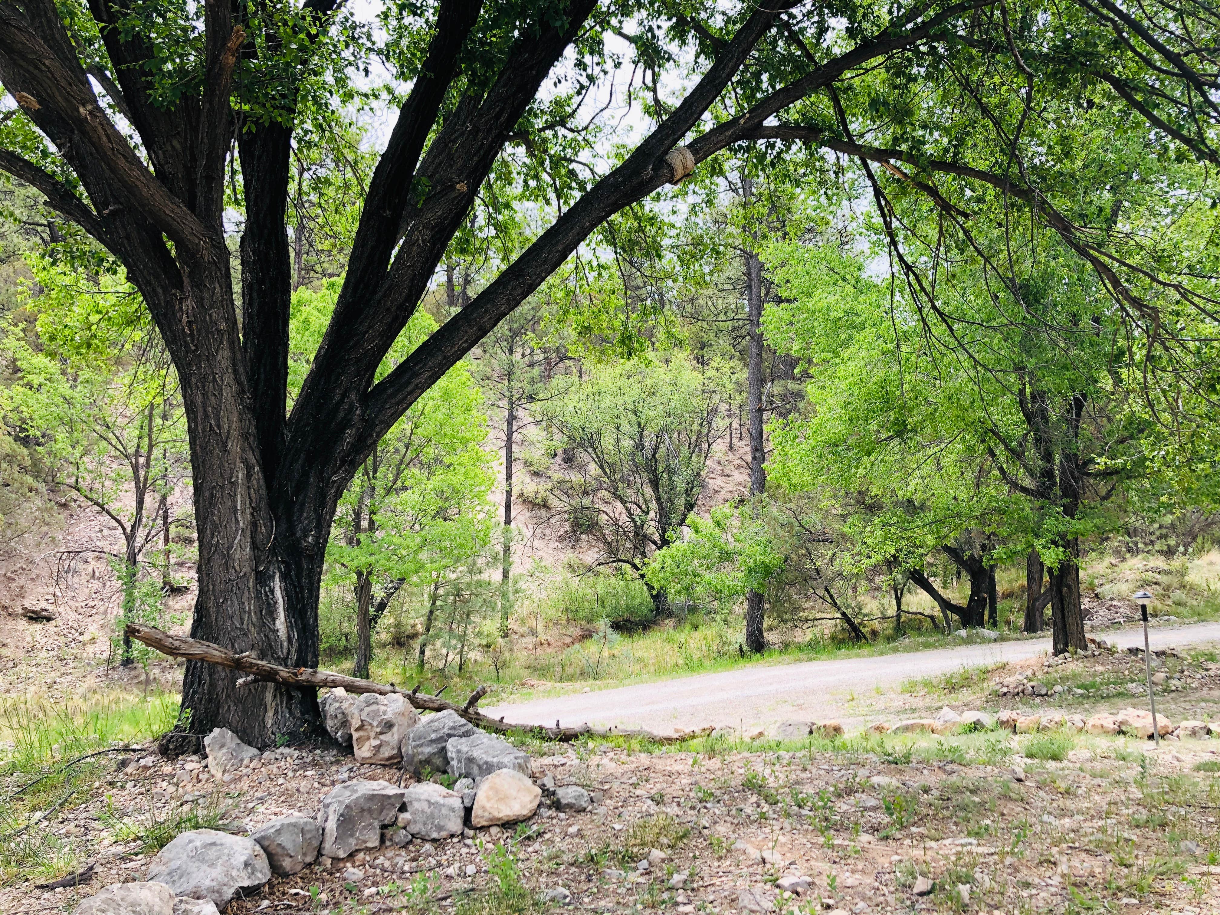 Camper-submitted photo at The Camp @ Cloudcroft RV Park near Timberon, NM