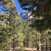 Review photo of McWilliams Campground by Larry  L., May 29, 2019