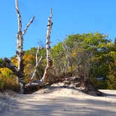 Review photo of Rock Island State Park Campground by Shirwil L., May 29, 2019