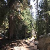 Review photo of Tuolumne Meadows Campground — Yosemite National Park by Susan V., May 29, 2019