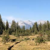 Review photo of Tuolumne Meadows Campground — Yosemite National Park by Susan V., May 29, 2019