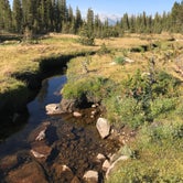 Review photo of Tuolumne Meadows Campground — Yosemite National Park by Susan V., May 29, 2019