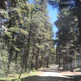 Review photo of Tuolumne Meadows Campground — Yosemite National Park by Susan V., May 29, 2019