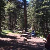 Review photo of Tuolumne Meadows Campground — Yosemite National Park by Susan V., May 29, 2019