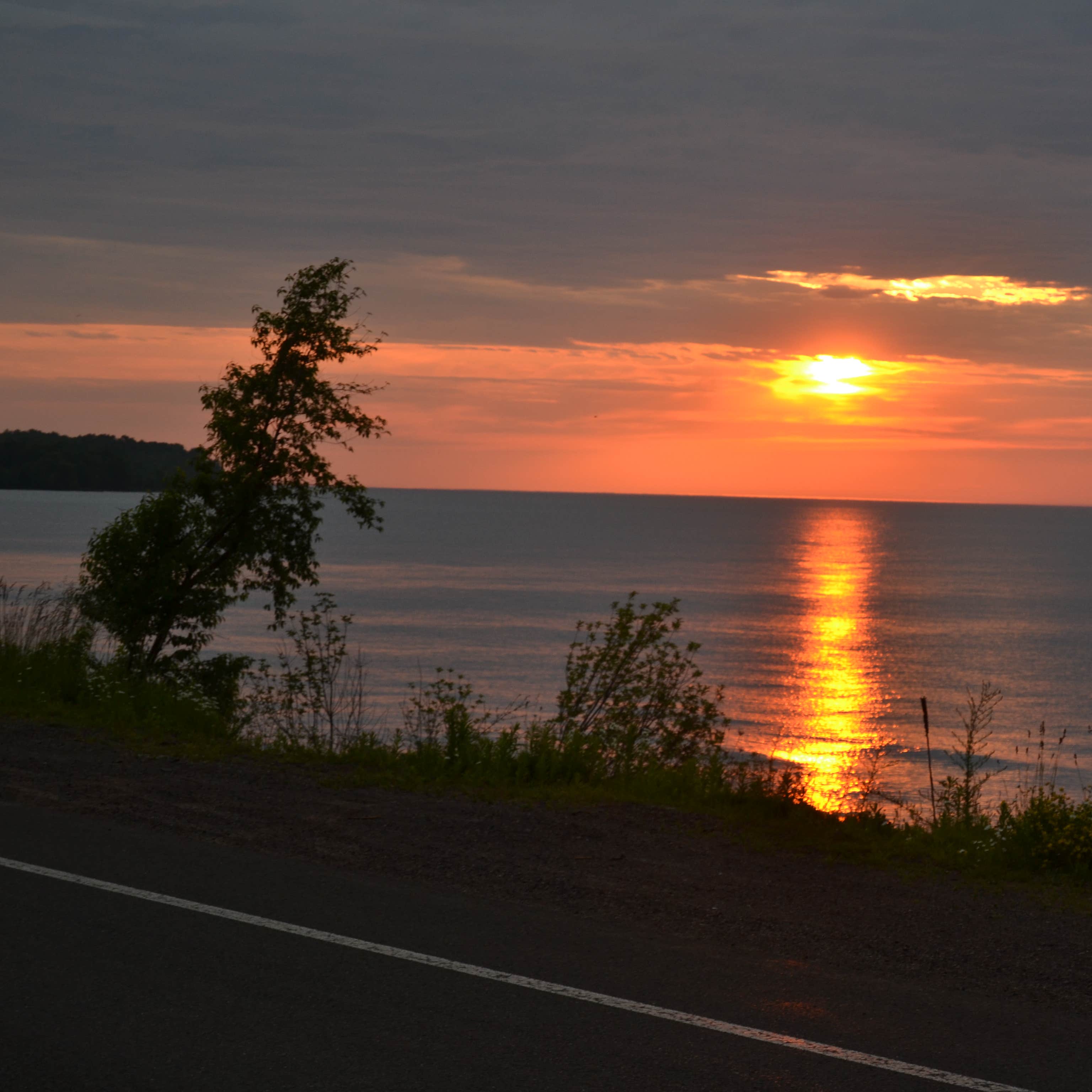 Union River Big Bear Campground Camping The Dyrt