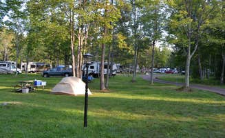 Sue A.'s photo at Union River Big Bear Campground near White Pine, MI