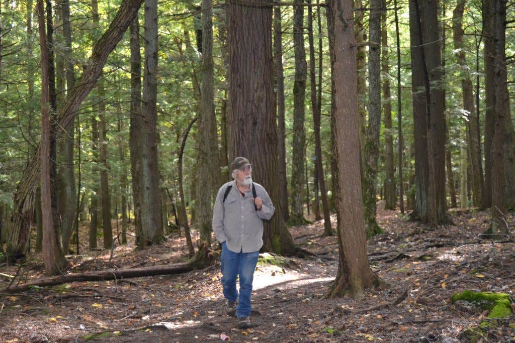 Camper-submitted photo at Union River Big Bear Campground near Toivola, MI