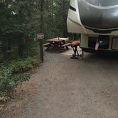 Review photo of Mountain Meadow RV Park and Cabins by David J., May 29, 2019