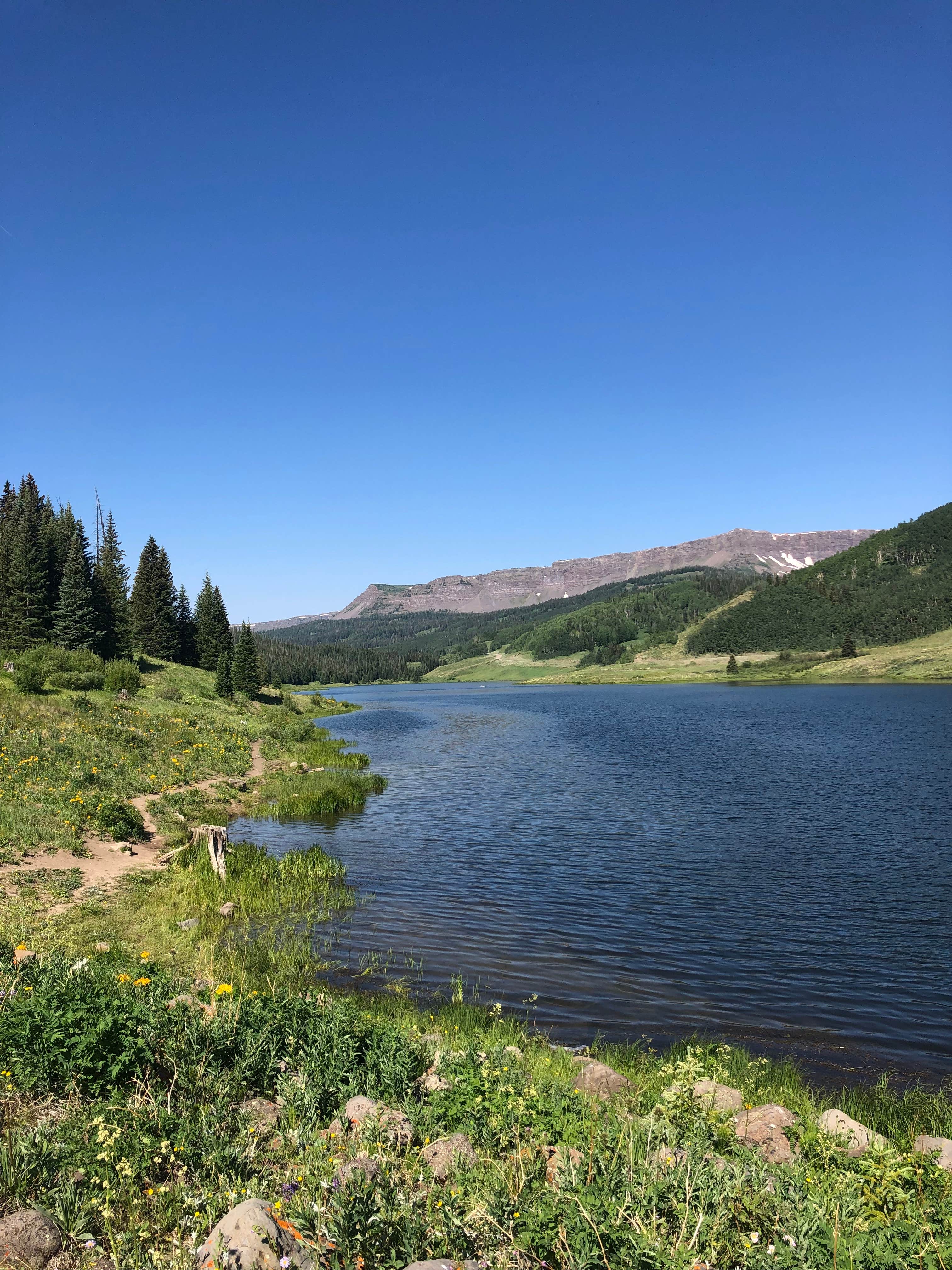 Camper-submitted photo at Bear Lake Campground near Yampa, CO