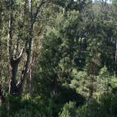 Review photo of Anthony Chabot Regional Park by Amanda P., August 28, 2016