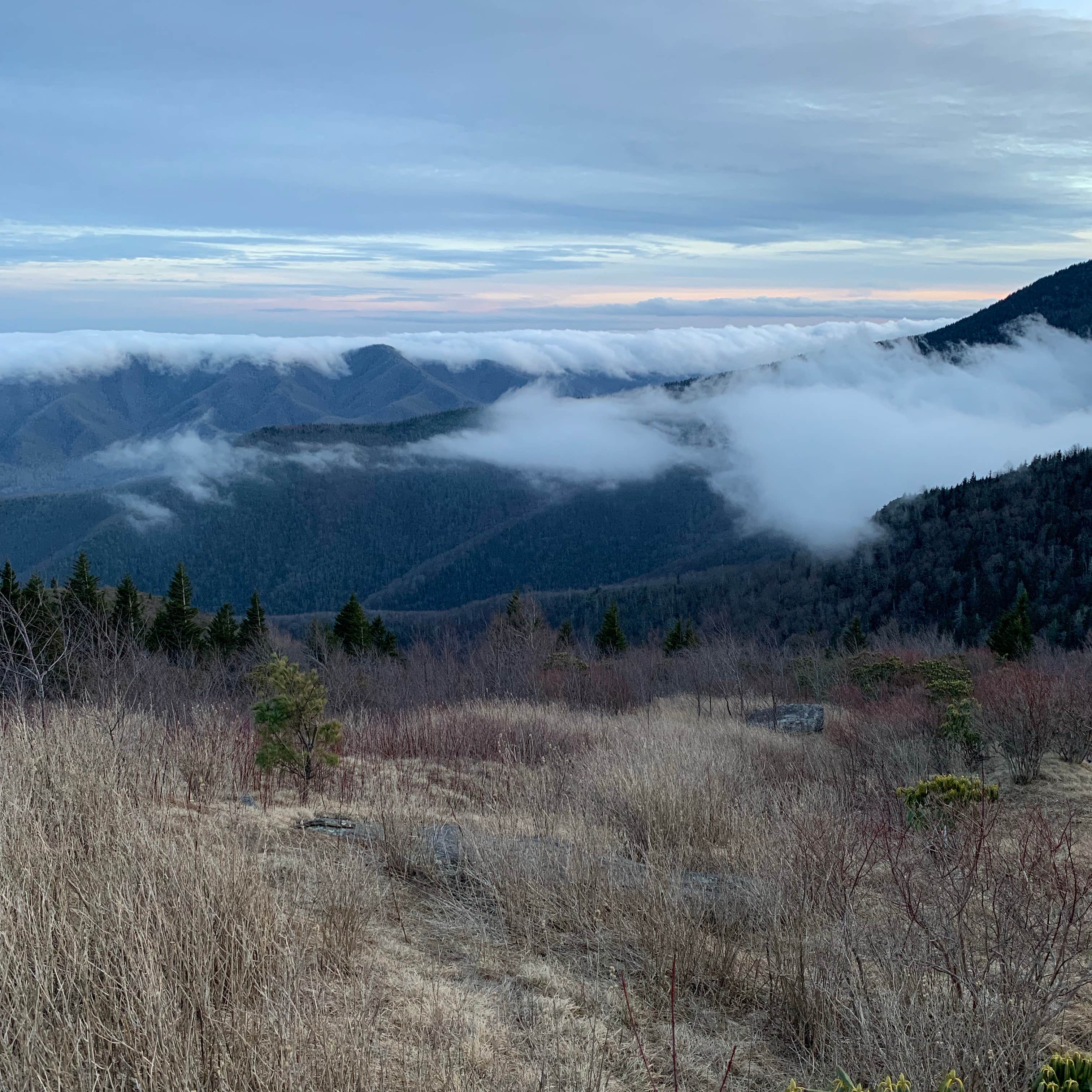 Camper-submitted photo at Maple Camp Bald near Gerton, NC