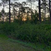 Review photo of Cary State Forest by Sualen L., May 29, 2019