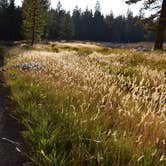 Review photo of Tuolumne Meadows Lodge — Yosemite National Park by Susan V., May 29, 2019