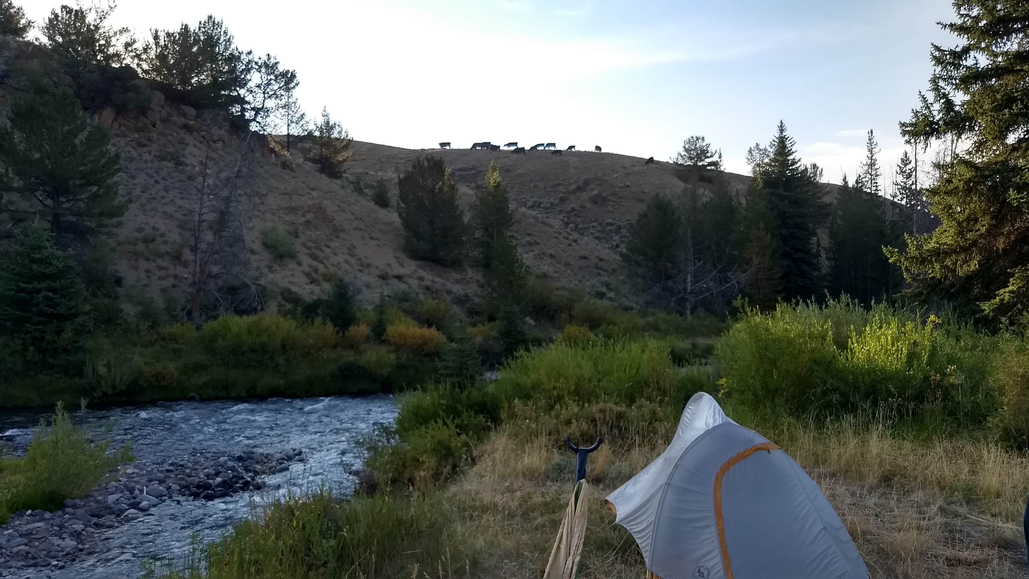 Camper submitted image from Horse Creek Campground - 2