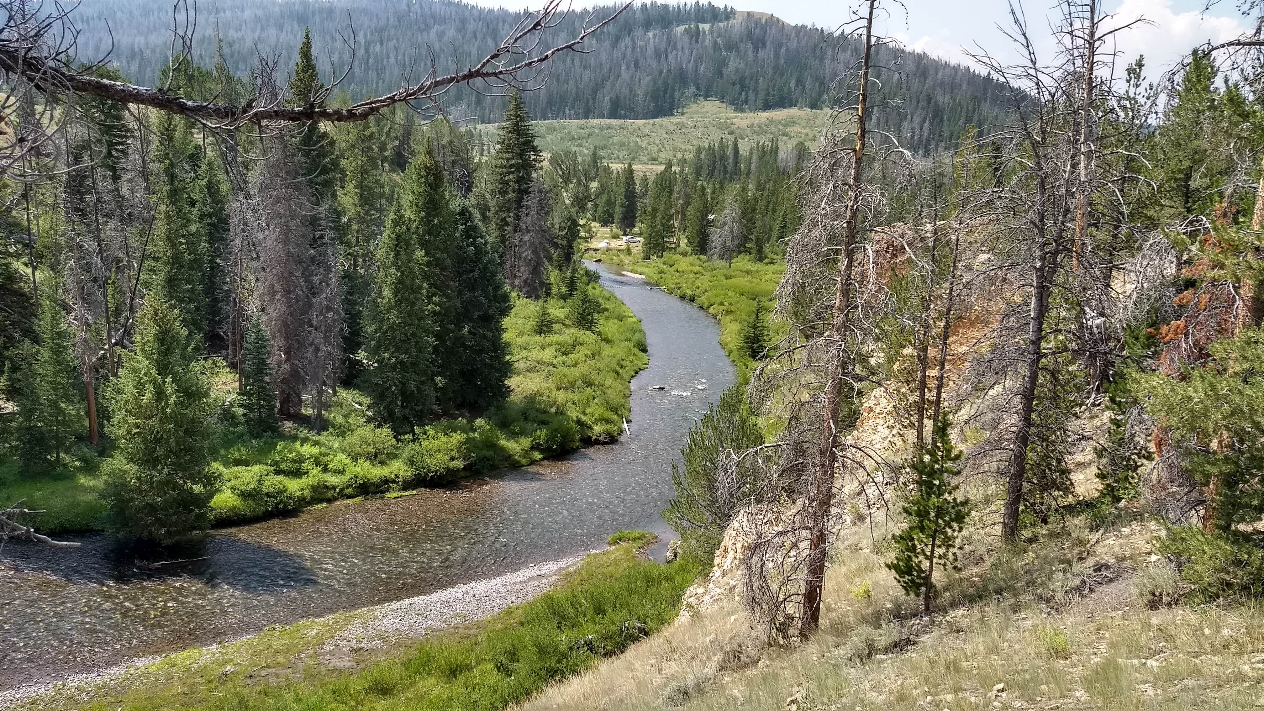 Camper submitted image from Horse Creek Campground - 5