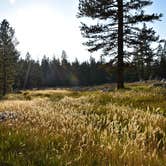 Review photo of Tuolumne Meadows Lodge — Yosemite National Park by Susan V., May 29, 2019