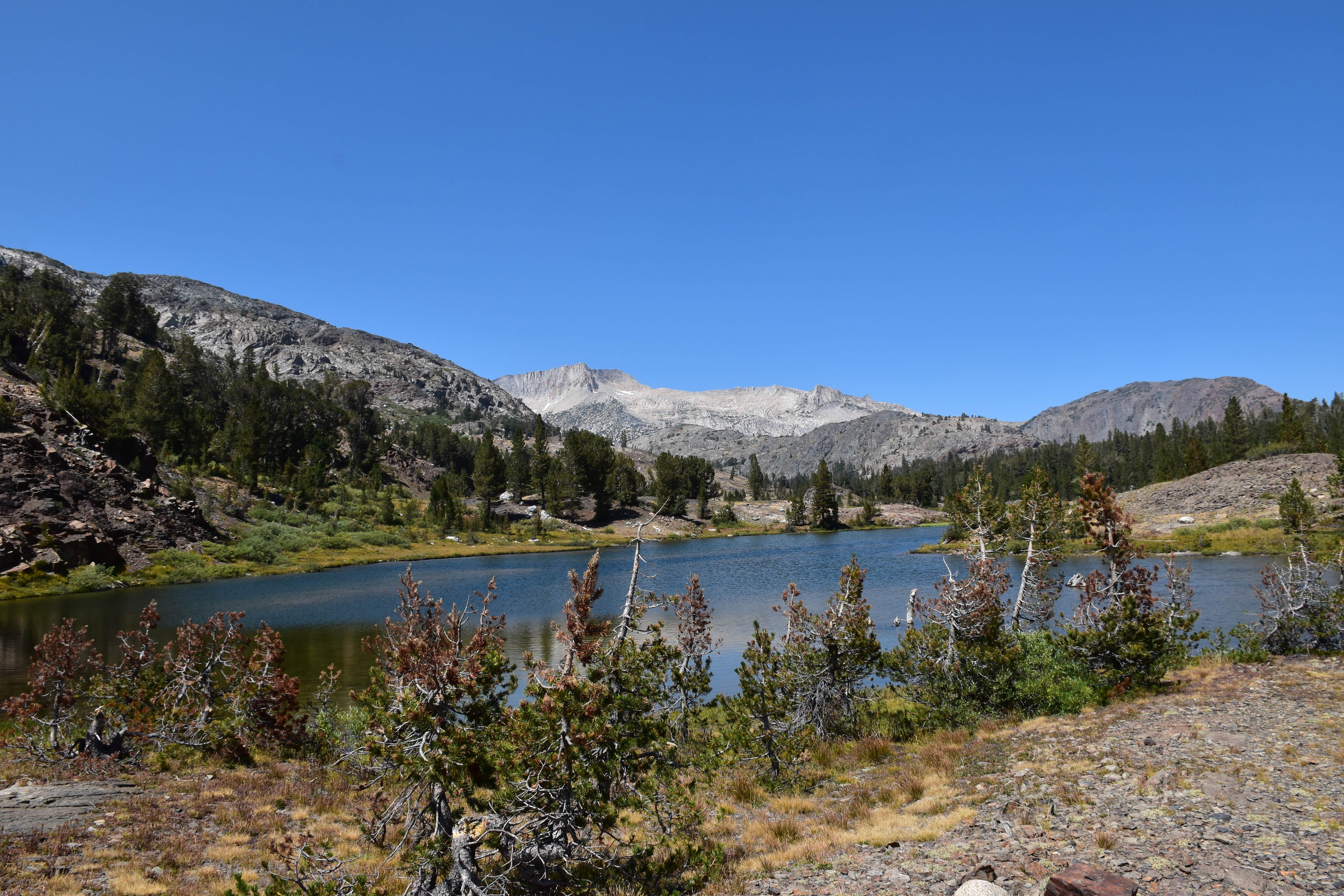 Camper submitted image from Tuolumne Meadows Lodge — Yosemite National Park - 3