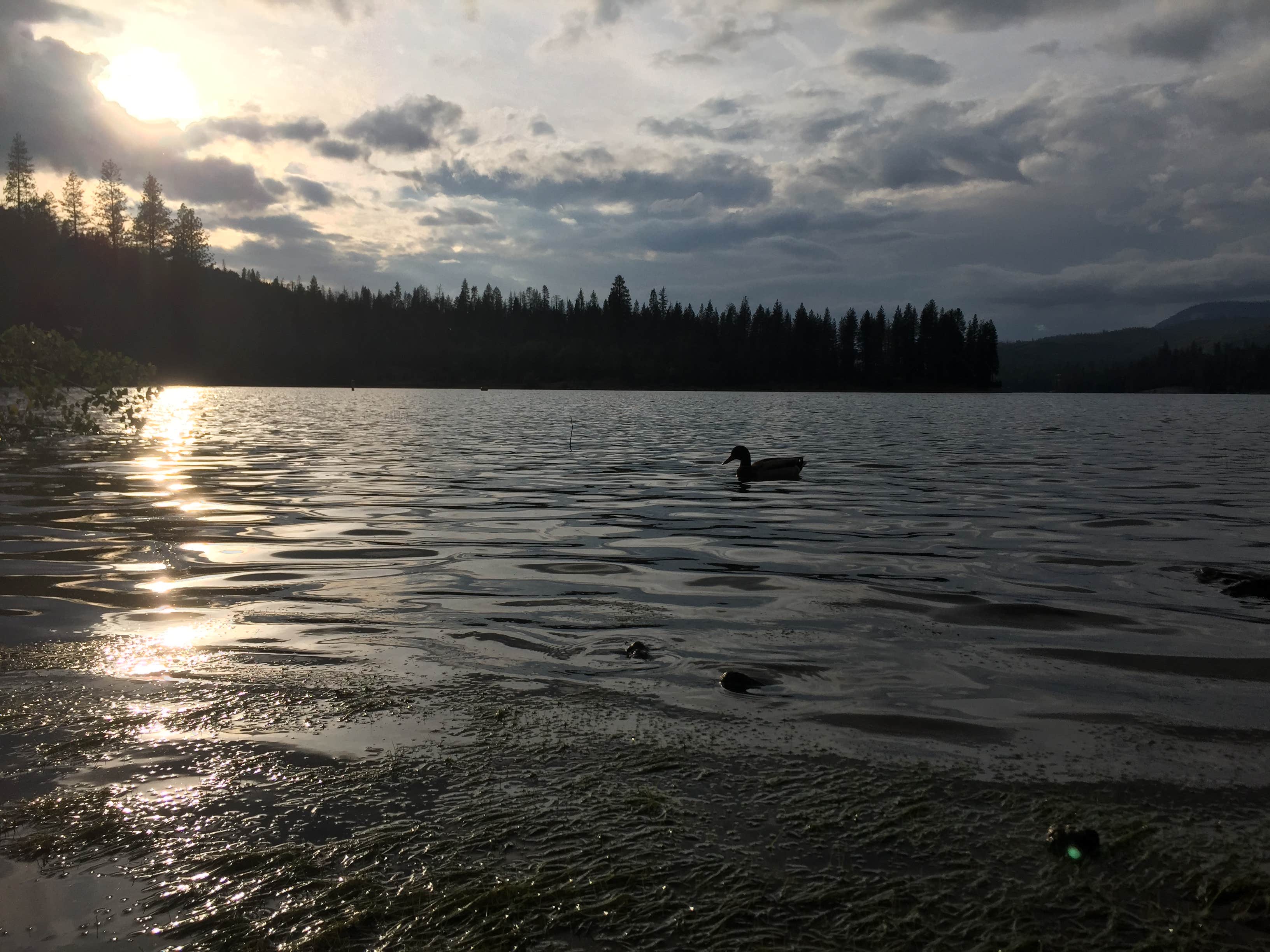 Camper-submitted photo at Spring Cove Campground near Auberry, CA