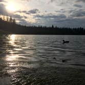 Review photo of Spring Cove Campground by Shannon F., May 29, 2019