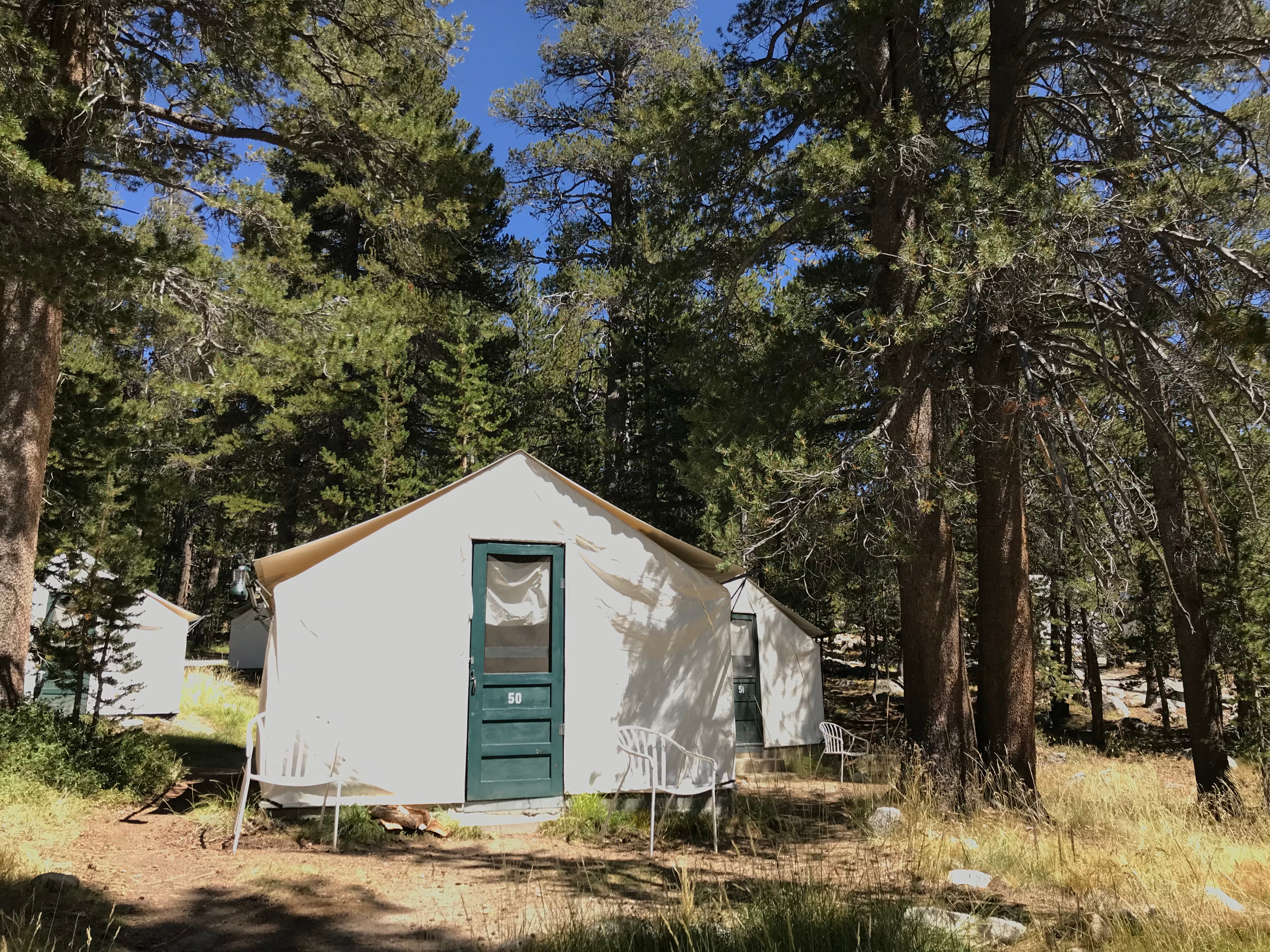Camper submitted image from Tuolumne Meadows Lodge — Yosemite National Park - 4