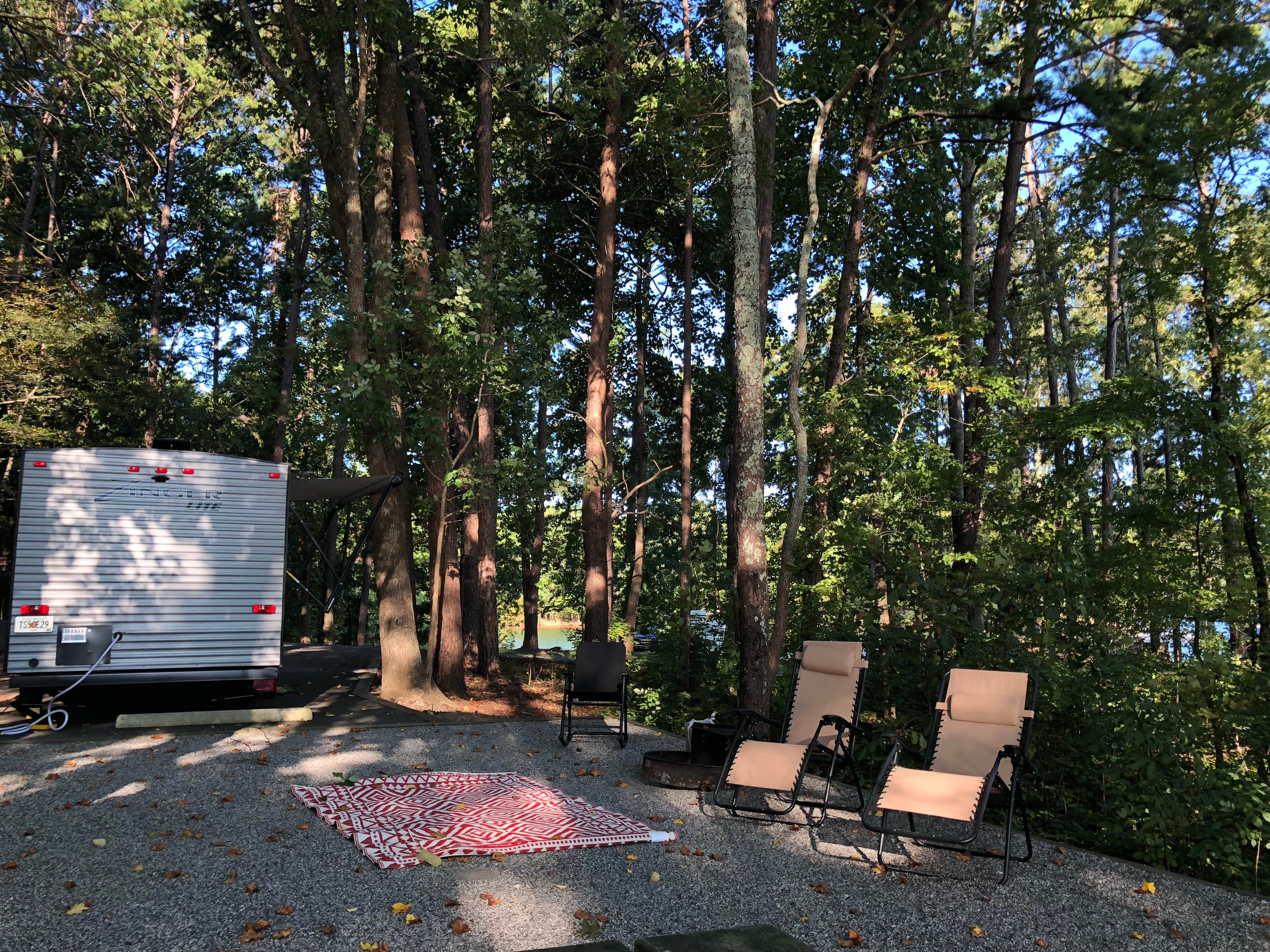 Camper submitted image from Shady Grove Campground - 4