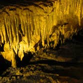 Review photo of Mammoth Cave Campground — Mammoth Cave National Park by Stephanie T., August 31, 2016