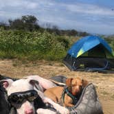 Review photo of Bluffs Campground — San Onofre State Beach by Christopher  V., May 29, 2019