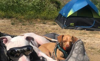 Christopher  V.'s photo at Bluffs Campground — San Onofre State Beach near Aliso Viejo, CA