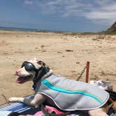 Review photo of Bluffs Campground — San Onofre State Beach by Christopher  V., May 29, 2019