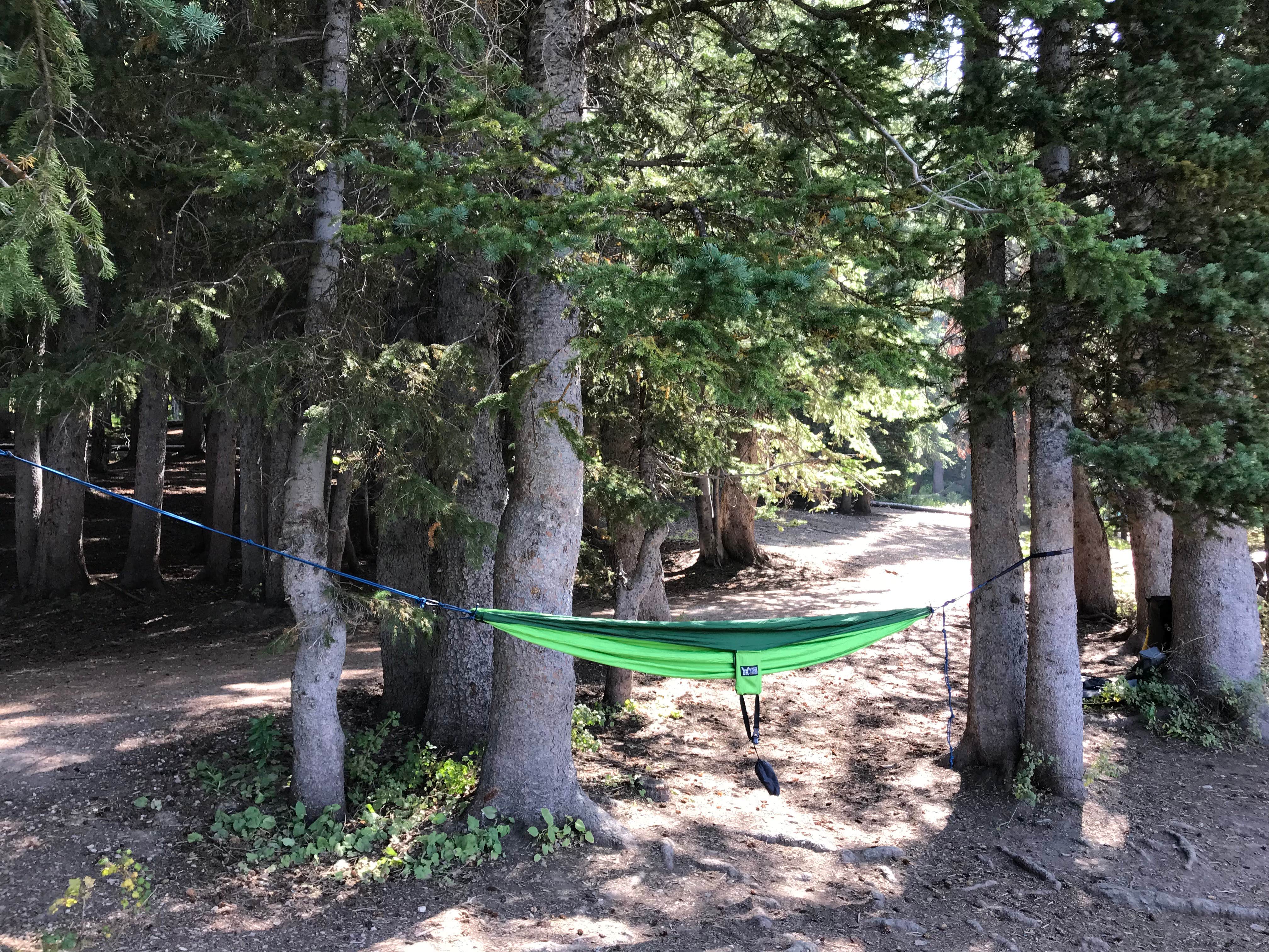 Camper-submitted photo at Tony Grove Lake near Lewiston, UT