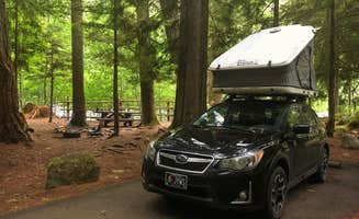 Catherine S.'s photo of rv camping at Silver Springs Campground near Packwood, WA