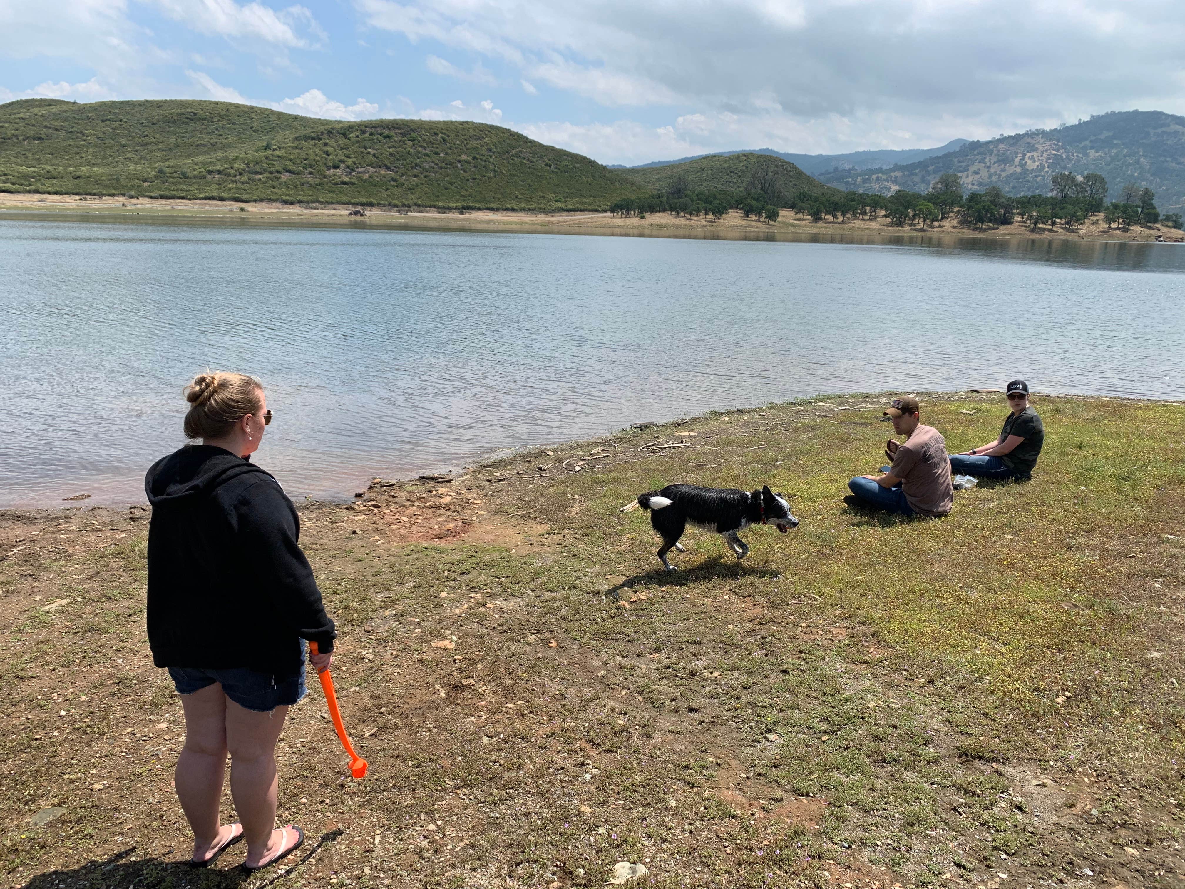 Gregory R.'s photo of camping with pets at Acorn Campground near Fall River Lake