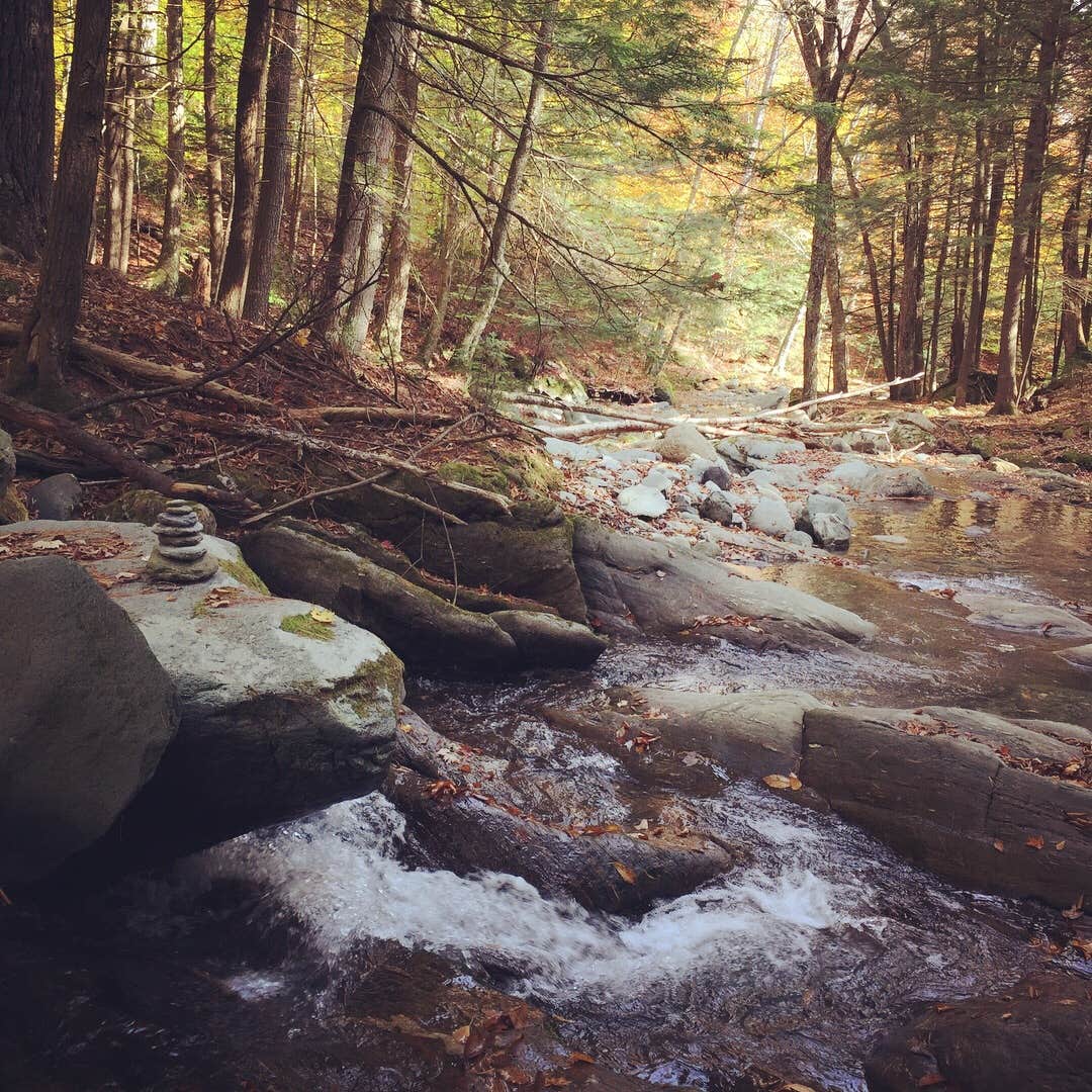 Camper-submitted photo at Austin Brook near Bradford, VT