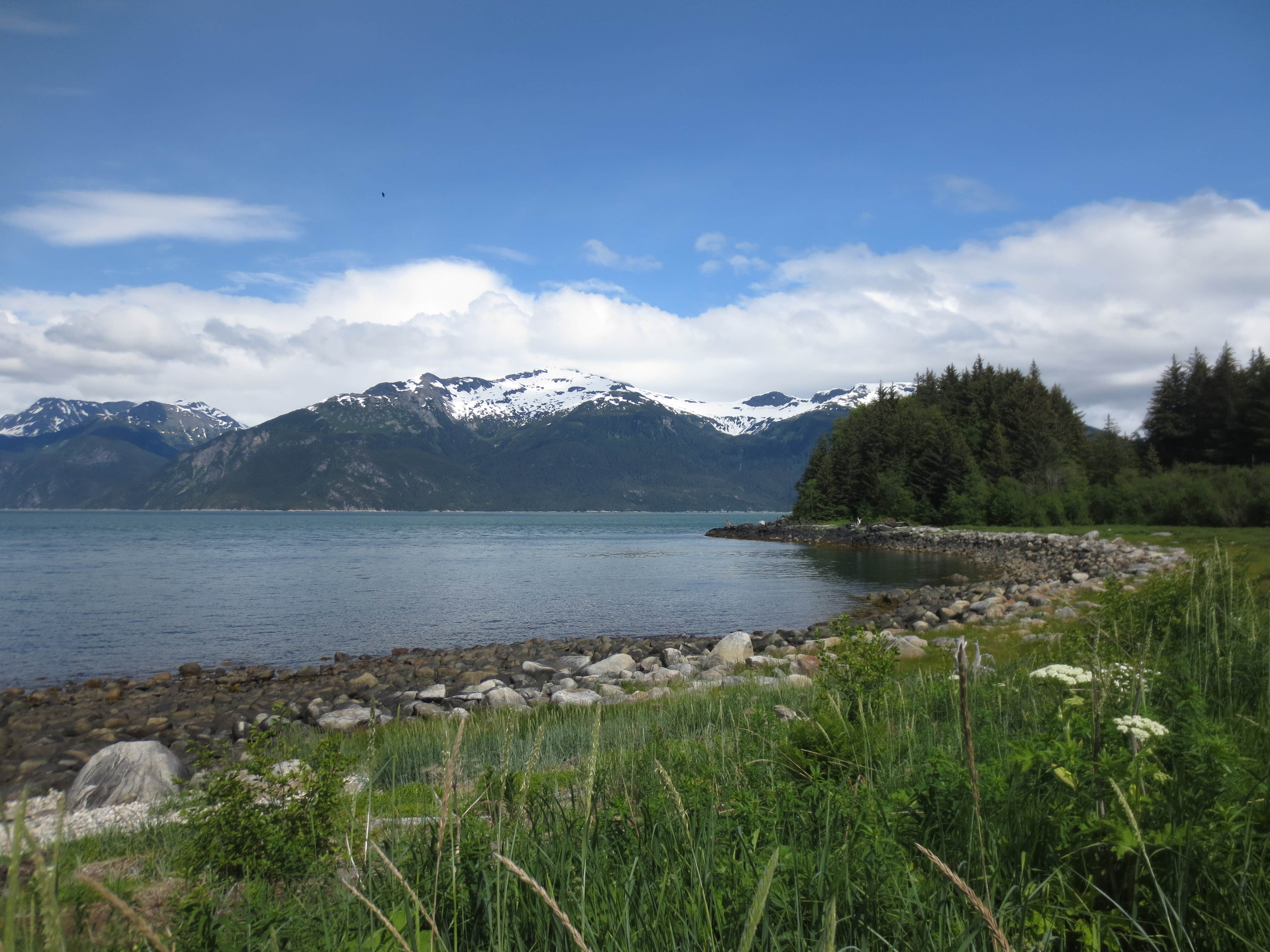 Camper submitted image from Portage Cove Campground - 2