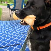 Review photo of Buck Creek State Park Campground by Shannon G., May 29, 2019