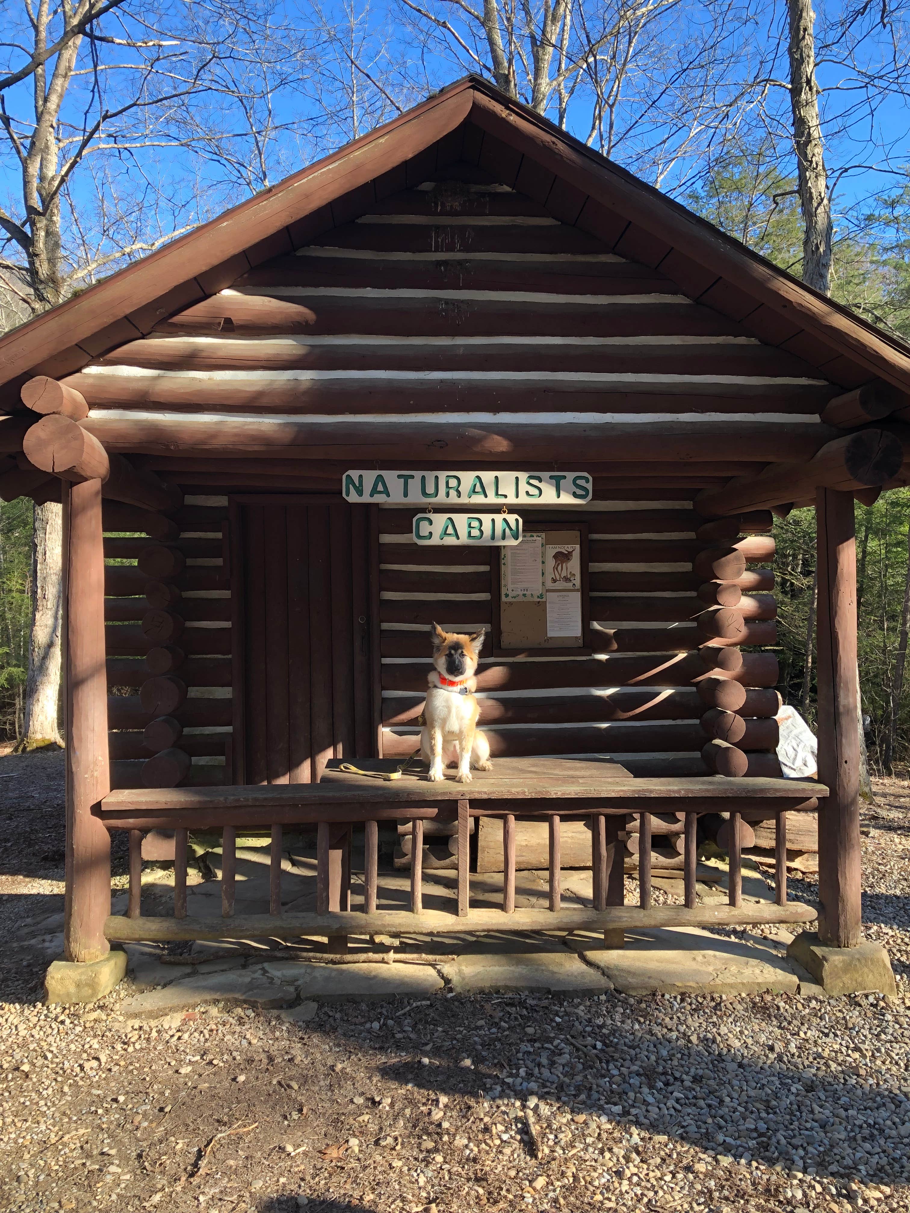 Allie P.'s photo of a cabin at Hocking Hills State Park Campground near Lockbourne, OH