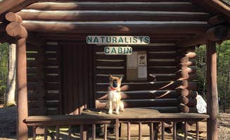 Allie P.'s photo of a cabin at Hocking Hills State Park Campground near Mount Sterling, OH