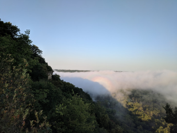 Nature