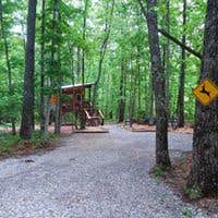 Camper submitted image from Glamping at Deer Camp - 3