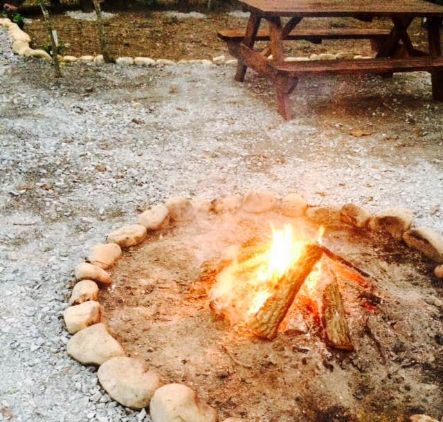 Camper submitted image from Glamping at Deer Camp - 4