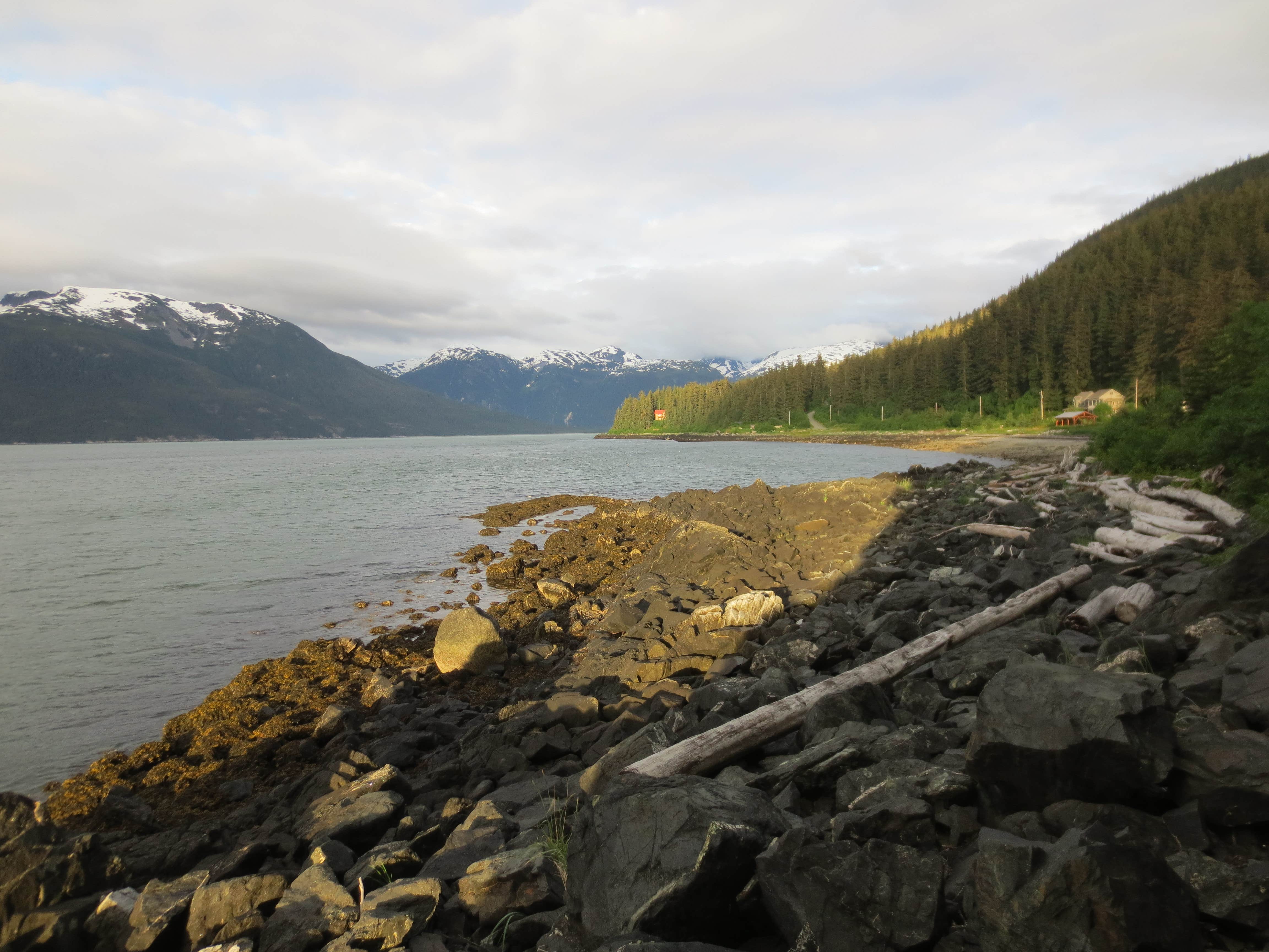 Camper-submitted photo at Portage Cove Campground near Skagway, AK