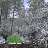 Review photo of Difficult Campground by Cassandra B., May 29, 2019